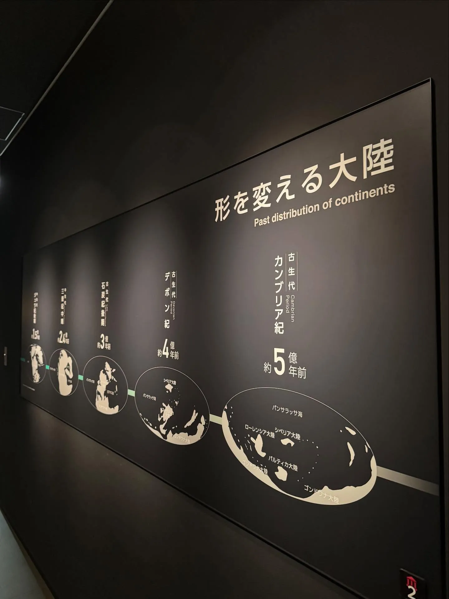 天草の御所浦町は、その美しい自然だけでなく、恐竜の化石が発掘...