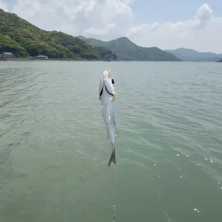 🌊🏡 海の上に浮かぶ至福のひとときはいかがですか？コテージス...