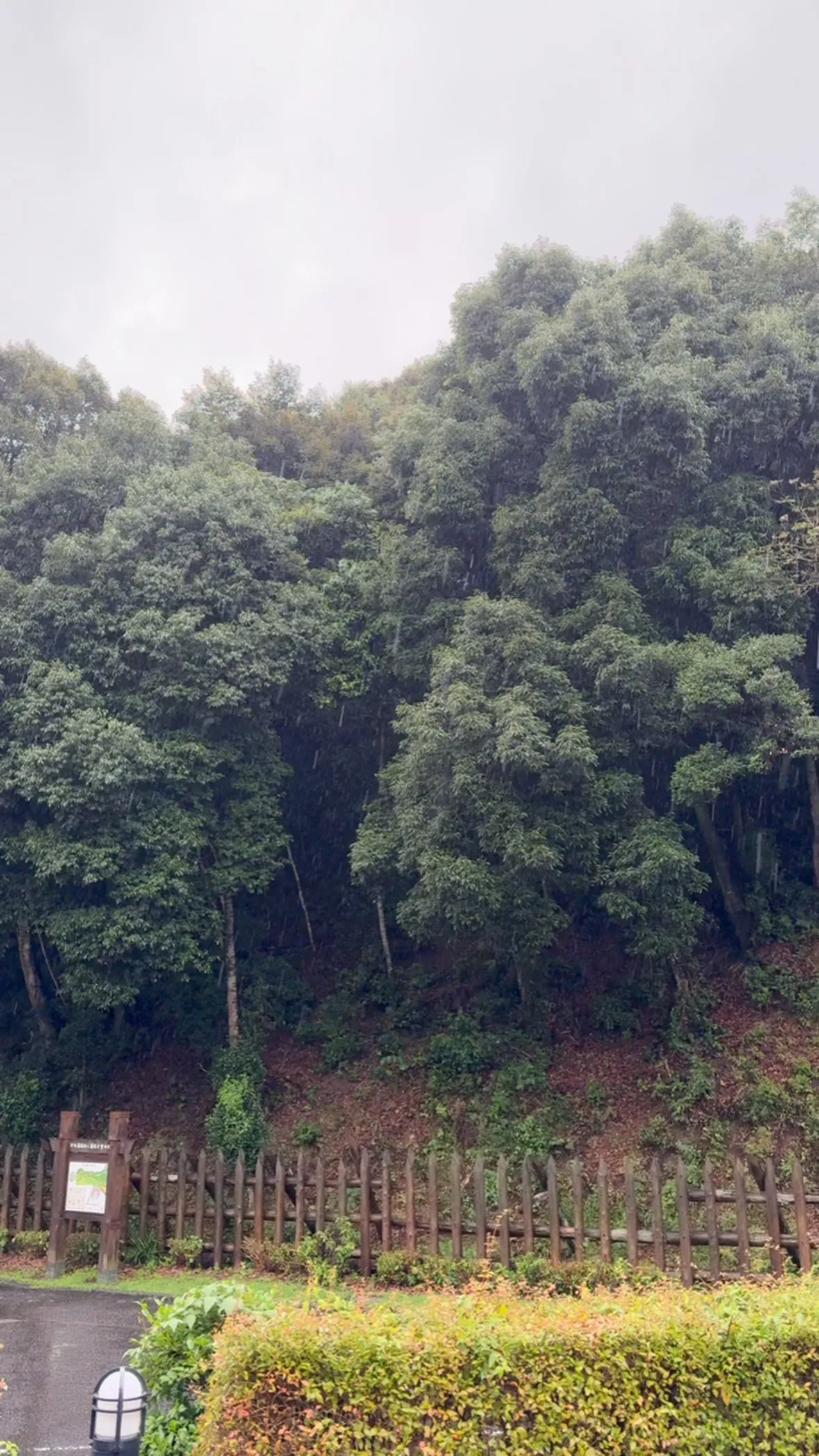 🌧️ 雨による深刻な災害が各地で発生しております。
