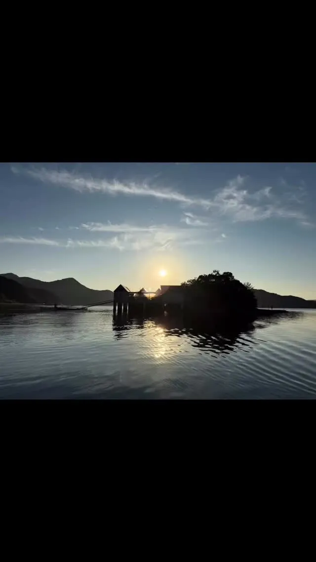 🌊✨お知らせ✨🌊 