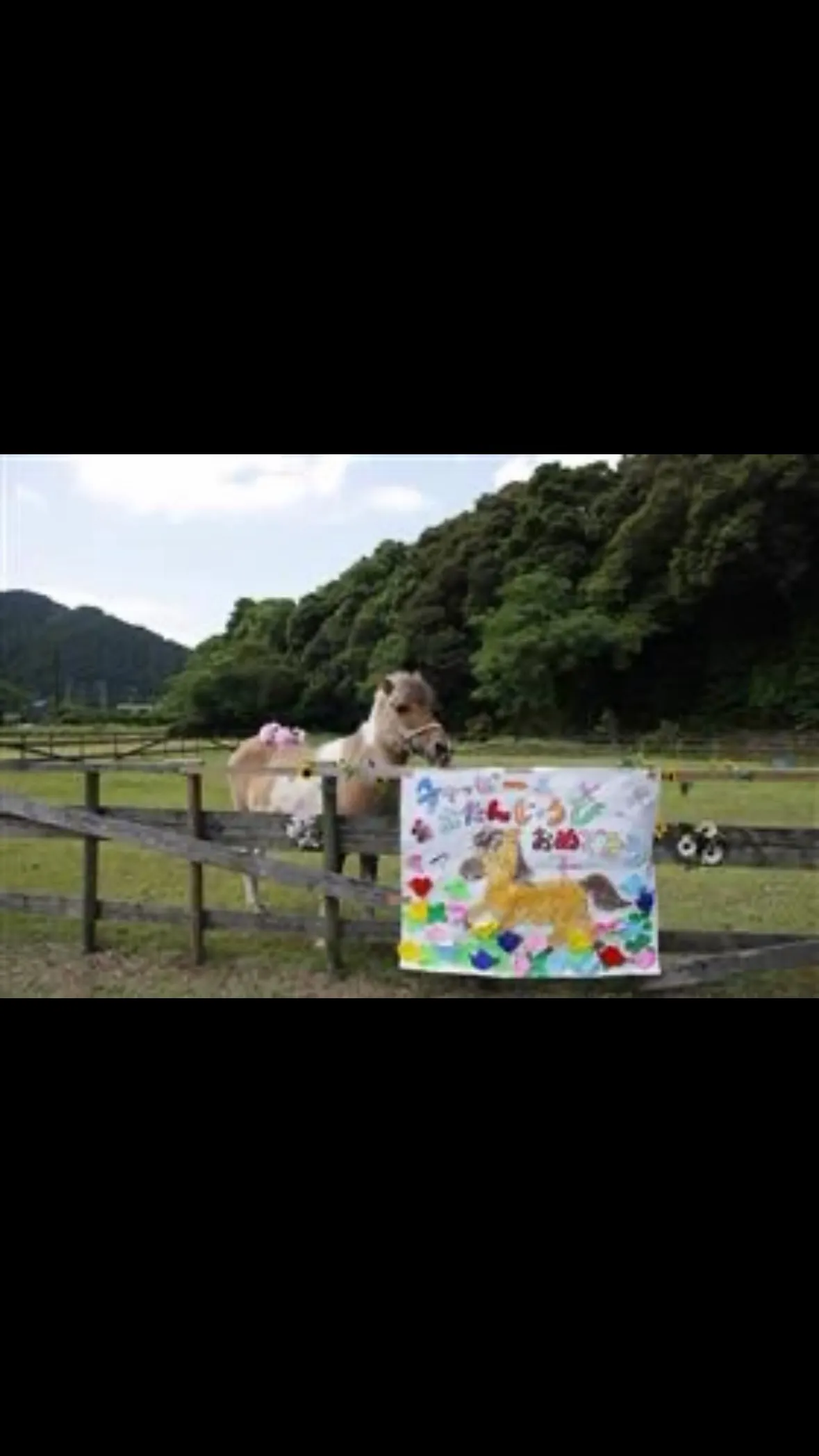 とっておきの日！🎉